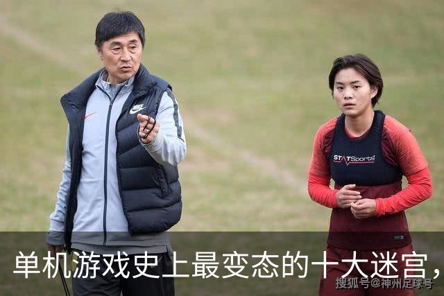 单机游戏史上最变态的十大迷宫，接触过三个以上就是神级玩家