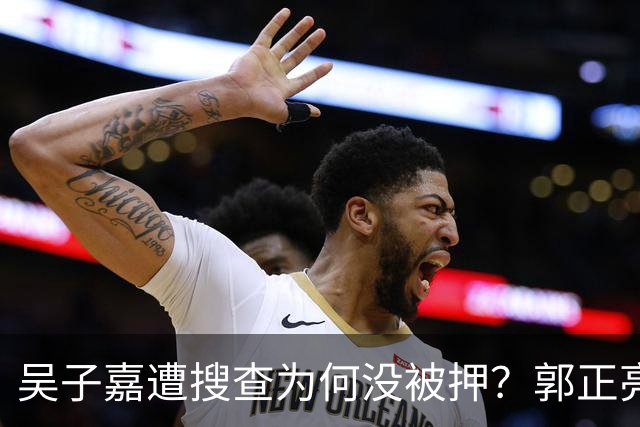 吴子嘉遭搜查为何没被押？郭正亮曝绝食抗议内幕：台检方碰到狠人