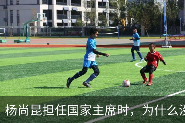 杨尚昆担任国家主席时，为什么没有入选政治局常委？