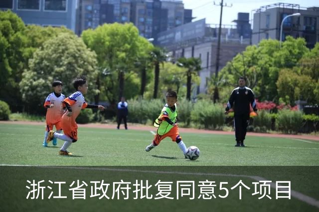 浙江省政府批复同意5个项目