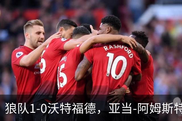 狼队1-0沃特福德，亚当-阿姆斯特朗制胜球