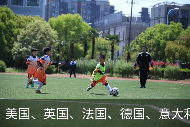 美国、英国、法国、德国、意大利、澳大利亚等30余国发表联合声明
