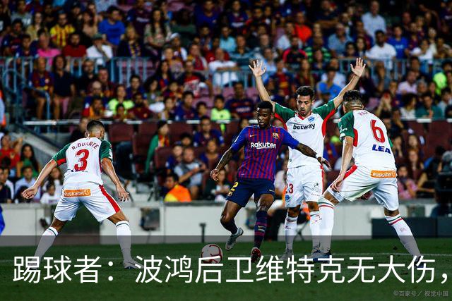 踢球者：波鸿后卫维特克无大伤，仅伤口需处理