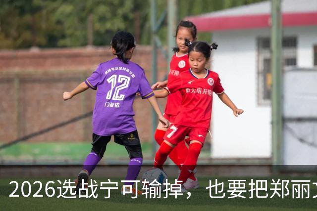 2026选战宁可输掉，也要把郑丽文拉下马！卢朱赵侯，谁是幕后黑手